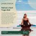 JadeYoga Harmony Midnight Blue Yoga Mat - Non-Slip Natural Rubber Gym Fitness Mat for Men and Women - Durable & Thick Workout Mat for Home or Gym - Buy Online on GoSupps.com