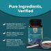 Vitamin B3 Nicotinamide 500mg Capsules - Mitochondrial Energy and Anti-Aging Skin Supplement - 60 Count (Pack of 1) - Buy Online on GoSupps.com