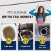 Wild Tornado Drain Cleaner Wild-Tornado Powerful Sink and Dredge Deodorant Chemical Powder Agent for Pipe Toilet Kitchen Dredging (3pcs) - Buy Online on GoSupps.com