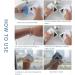 Sofenthiss Window Cleaner Double-Sided Window Cleaning Brush (3-10mm) Sofenthiss Magnetic Window Cleaner Tool Adjustable Magnetic Window Cleaning Tool Red - Buy Online on GoSupps.com