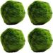 k2aqua LARGE 4 Marimo Moss Balls Live Aquarium Plant Always Fresh Cladophora aegagropila Shrimps & Snails Love Them