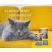 Josera L ger Cat Food 400g | Low Fat Super Premium Dry Food for Adult Cats | International Shipping Available - Buy Online on GoSupps.com