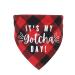 Dog Birthday Bandana Gotcha Day Pet Scarf Dog Adoption Bandana for Boys and Girls Dogs Cats Scarf Bibs Accessories for Pet Birthday Gift (Red)