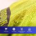Landjoy Waterproof Bicycle Helmet Cover - Rain Protection with Reflectors Wind-Repellent & Breathable - 2 Green - Buy Online on GoSupps.com