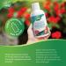 Nature's Way Calcium and Magnesium Citrate 2:1 - Liquid Supplement with Vitamin K2 and Collagen Helps Support the Maintenance of Bones and Teeth Strawberry Flavour 500 mL Packing may vary - Buy Online on GoSupps.com
