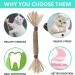 Organic Cat Mint Sticks - 6PCS Dental Toys for Cats | Chew & Clean Cat Sticks | Kaust Sticks for Healthy Teeth - Buy Online on GoSupps.com
