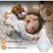 Glass Aroma Diffuser with Color Night Light - Essential Oil Cool Mist Humidifier for Home & Office (Pearl White) - Buy Online on GoSupps.com