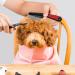 Flea Comb 2 Pcs Pet Grooming Combs for Dog/Cat/Small Pets - Red & Orange - Buy Online on GoSupps.com
