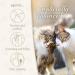Felisept Family Comfort Relaxing Agent in Multi-Cat Household Plug-In Diffuser and Refill 45ml Starter Set - With natural catnip - Cat plug in calmer - Release tensions and reduce sustainably Starter Set (Diffuser + Refill 45ml) - Buy Online on GoSupps.com