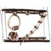 Trixie 61650 Natural Living Hanging Bridge for Pets - 27x17x7 cm Wood Color | Best International Shipping - Buy Online on GoSupps.com