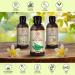 Brasilian Aloe Barbadensis Oil 250ml - Skin & Face Care - Baby Safe - Pure Aloe Vera Oils - Buy Online on GoSupps.com