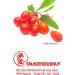  Tausendkraut Organic Goji Berries (250g) Superfood Superior Quality from Deep Tibetans Thousand Herbs - Buy Online on GoSupps.com