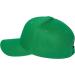 Adjustable Low Profile Green Baseball Cap | Plain Dad Hat for Men and Women - Buy Online on GoSupps.com