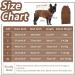 Hjumarayan Dog Sweater for Small Dogs - Soft & Warm Reversible Knit Sweater for Yorkshire Jack Russell Chihuahua & Cat (Brown XS) - Buy Online on GoSupps.com