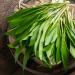 Organic Garlic 500g - 100% Natural Wild Garlic Leaves | Additive-Free Controlled Organic Cultivation - Buy Online on GoSupps.com
