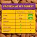 Buy Yoga.bar No Added Sugar Protein Bars - 20g Protein Probiotics & Fiber | High Energy Nutrition Bars | 5-Pack for International Shipping - Buy Online on GoSupps.com