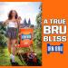 IRN-BRU Original and Best | Pack of 24 330ml Cans | A Scottish Favorite Bru'd in Scotland Since 1901 | Scotland's Other National Drink | Iron Brew Phenomenal Taste Soft Drink 330ML (Pack of 24) - Buy Online on GoSupps.com
