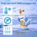Cool Summer Dog Shirt & Vest for Small Dogs - Breathable Fashionable Pet Clothing | Blue Puppy Sweatshirt for Beach - Buy Online on GoSupps.com