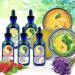 Organic Comfrey Medicinal Herbal Oil - Raw & Non-GMO, Wound Healing, Skin-Cell Regeneration, Scar Reduction, Anti-Inflammatory - Excellent Carrier Oil - Buy Online on GoSupps.com
