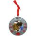 In Loving Memory Pet Ornament - Dog Memorial Christmas Photo Ornament - Cat Sympathy Gift - Buy Online on GoSupps.com