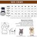 URBEST Pet Dog Canvas Sport Sneaker Boots 4 Pcs - Outdoor Nonslip Causal Shoes in Blue (Size 8) - Buy Online on GoSupps.com