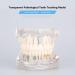 Buy Dental Diseases Teaching Study Adult Typodont Model - Realistic Tooth Demonstration for Education | International Shipping Available - Buy Online on GoSupps.com