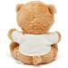 Small Brown Teddy Bear - Newborn Gift Plush Soft Toy with Embroidered T-Shirt - Buy Online on GoSupps.com