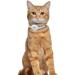 Oopsdoggy Leather AirTag Cat Collar with Bells - Durable GPS Pet Neckband for Cats & Small Dogs (White) - Buy Online on GoSupps.com