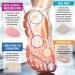Adhesive Felt Metatarsal Foot Pads - Reduces Ball of Foot Pain - 6 Pads - Buy Online on GoSupps.com