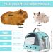 Small Pet Carrier Bag - Portable Guinea Pig, Hamster, Hedgehog Cage - Breathable Travel Handbag for Birds, Rats, Bunnies - Blue - Buy Online on GoSupps.com