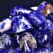 Sodalite Healing Crystal Stones 1.25-2.0 Large | Reiki Energy Gemstones for Witchcraft & Meditation - Buy Online on GoSupps.com