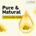 PUROLEO Witch Hazel Toner 32 Fl Oz/946 ML (Packed in Canada) Refresh and Revitalize Your Skin with | Premium Bottle | Luxury Skin Care Toner | Facial Toner for Postpartum & Skincare 32 Fl Oz (Pack of 1) - Buy Online on GoSupps.com