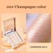 /L Highlighter Powder Shimmer Powder Highlight and Highlighter Palette Makeup Illuminator Powder Highlighter Applied B - Buy Online on GoSupps.com