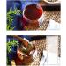 LIZEALUCKY Prostate Tea Individual Package Portable Prostate Health Tea for Men Male Digestion Support After Meals 30 X Biodegradable Tea Bags - Buy Online on GoSupps.com