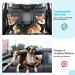 SloTow Double Dog Seat Belt | Adjustable Elastic Car Harness with Anti-Shock Bungee | Reflective Pet Safety Belts for Travel and Daily Use | Medium - Black - Buy Online on GoSupps.com