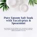 Dr Teal's Eucalyptus & Spearmint Epsom Salt 3 lb - Pack of 4 - Buy Online on GoSupps.com