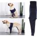 Dog Elbow Brace Dog Elbow Protector Highly Elastic Breathable Canine Protector Pads Knee Brace Dog Leg Braces Carpal Support Elbow Protector for Wound Wrapping (M) - Buy Online on GoSupps.com