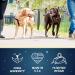 2 Hounds Design Freedom No Pull Dog Harness | Adjustable Comfortable Control | Made in USA | Leash Included | Black (LG) - Buy Online on GoSupps.com