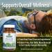 Nature's Answer Men's 100, Multivitamin, 60 Vegetarian Capsules - Buy Online on GoSupps.com