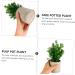 TOPBATHY False Green Plant 5 Pcs Simulated Potted Plant Pulp Potted Plants Household Fake Trees Artificial As Shownx5pcs 21.5x8cmx5pcs - Buy Online on GoSupps.com