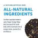 Zest Tea Blue Lady Black Tea - High Caffeine Energy Blend | 135mg per Serving | Keto-Friendly | 15 Sachets - Buy Online on GoSupps.com
