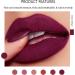 Long Lasting Matte Lipstick for Women - Waterproof & Hydrating Red Lipstick (06 Plum) - Buy Online on GoSupps.com