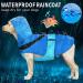 Buy Mosucoirl Waterproof Dog Coat with Hood & Reflective Features | Perfect for Small & Medium Dogs - L Blue - Buy Online on GoSupps.com