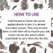 Buy D ve Herbes Pure Canola Oil - Cold Pressed Brassica Napus 100ml (3.38 oz) | International Shipping Available - Buy Online on GoSupps.com