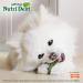Nylabone Nutri Dent Natural Dental Fresh Breath Chew Treats Mini (160 Count) - Buy Online on GoSupps.com