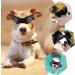 Dog Sunglasses - UV Protection Waterproof Glasses for Medium & Large Dogs - Stylish Pet Eye Protection - Buy Online on GoSupps.com
