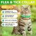 Cat Collar Set of 4 - 48cm - Stylish Green & Yellow Design for International Shipping - Buy Online on GoSupps.com