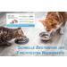 One+Step Cat Health Test - Quick Urine Kidney Check at Home - 1 Piece for Pet Health - Buy Online on GoSupps.com