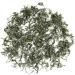 GOARTEA Th Vert - 4Pcs 250g (35.2 Oz) Premium Xin Yang White bud Baiya Maojian Mao Jian Loose Chinese Green Tea VERT - Buy Online on GoSupps.com