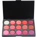 FantasyDay Professional 15 colors Lip Gloss Palette Makeup Kit - ideal for both professional and personal use